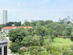 The Rise @ Oxley - Residences (D9), Apartment #584750671